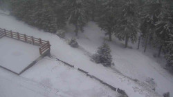 Přístup na běžeckou trať