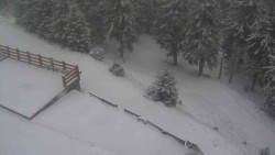 Přístup na běžeckou trať