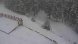 Přístup na běžeckou trať