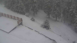 Přístup na běžeckou trať