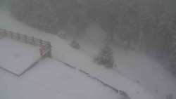 Přístup na běžeckou trať