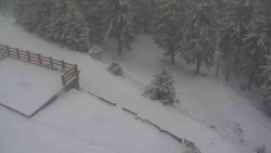 Přístup na běžeckou trať