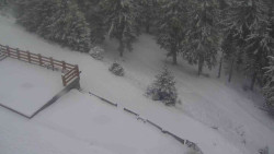 Přístup na běžeckou trať