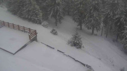 Přístup na běžeckou trať