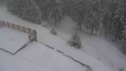 Přístup na běžeckou trať