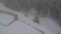 Přístup na běžeckou trať