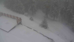 Přístup na běžeckou trať