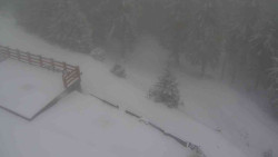 Přístup na běžeckou trať