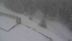 Přístup na běžeckou trať