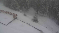 Přístup na běžeckou trať