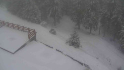 Přístup na běžeckou trať