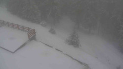 Přístup na běžeckou trať