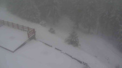 Přístup na běžeckou trať