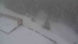 Přístup na běžeckou trať