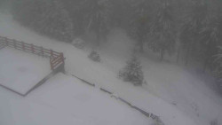 Přístup na běžeckou trať