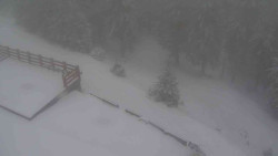 Přístup na běžeckou trať