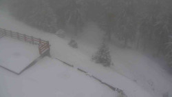 Přístup na běžeckou trať