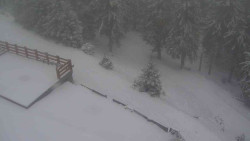 Přístup na běžeckou trať