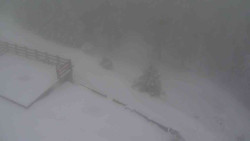 Přístup na běžeckou trať