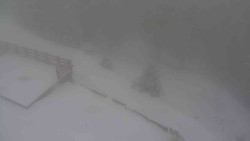 Přístup na běžeckou trať