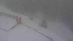 Přístup na běžeckou trať