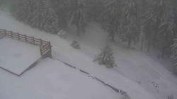 Přístup na běžeckou trať