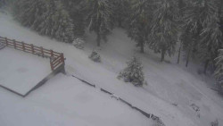 Přístup na běžeckou trať