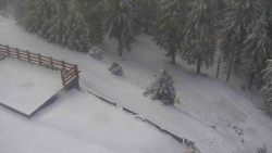 Přístup na běžeckou trať