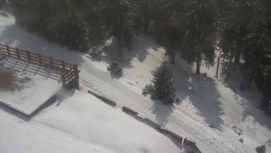 Přístup na běžeckou trať