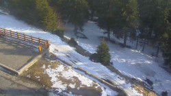 Přístup na běžeckou trať