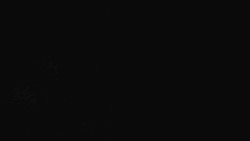 Přístup na běžeckou trať