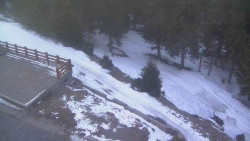 Přístup na běžeckou trať