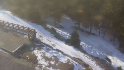 Přístup na běžeckou trať