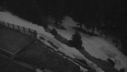 Přístup na běžeckou trať