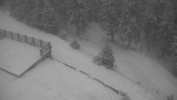 Přístup na běžeckou trať