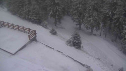 Přístup na běžeckou trať