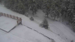 Přístup na běžeckou trať