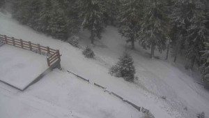 Sporthotel Kurzovní - Přístup na běžeckou trať - 21.3.2026 v 06:10 Sporthotel Kurzovní - Přístup na běžeckou trať - 21.3.2026 v 06:10