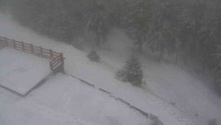 Přístup na běžeckou trať