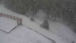 Přístup na běžeckou trať