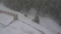 Přístup na běžeckou trať