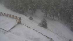 Přístup na běžeckou trať