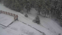 Přístup na běžeckou trať