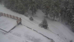 Přístup na běžeckou trať