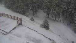 Přístup na běžeckou trať