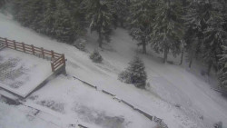 Přístup na běžeckou trať