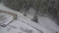 Přístup na běžeckou trať