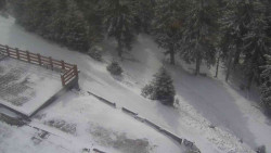 Přístup na běžeckou trať