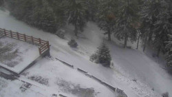 Přístup na běžeckou trať