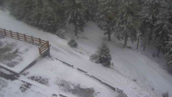 Přístup na běžeckou trať